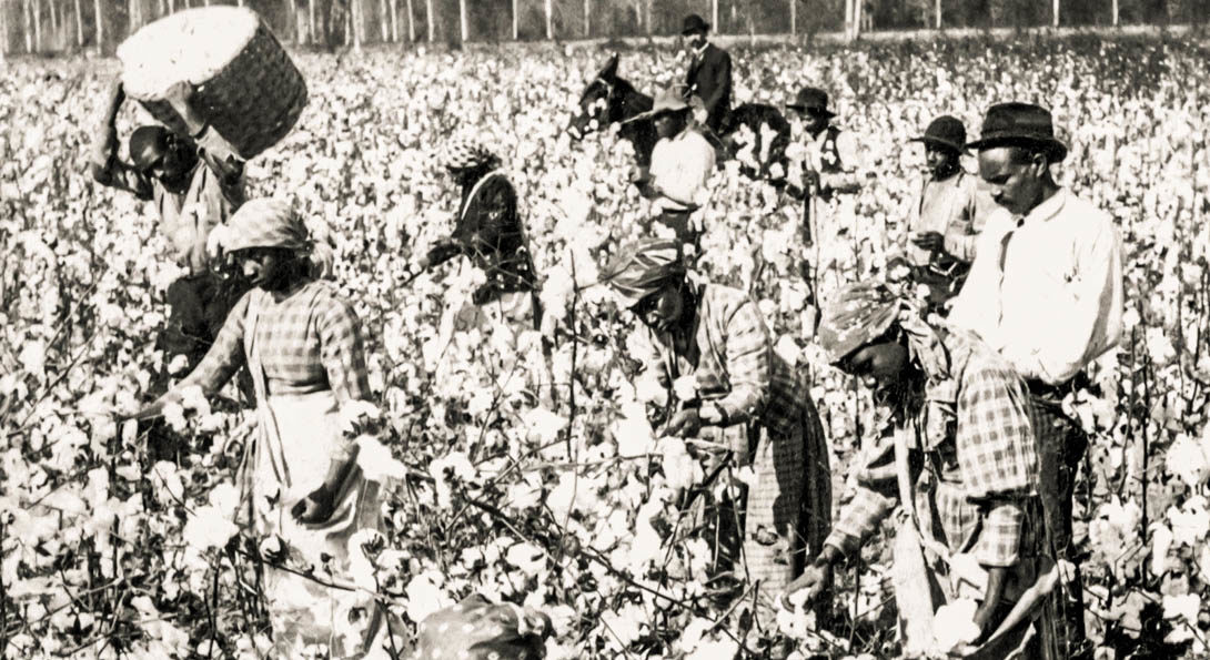Black people picking cotton